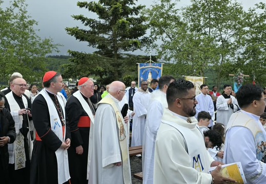 IMG 4731