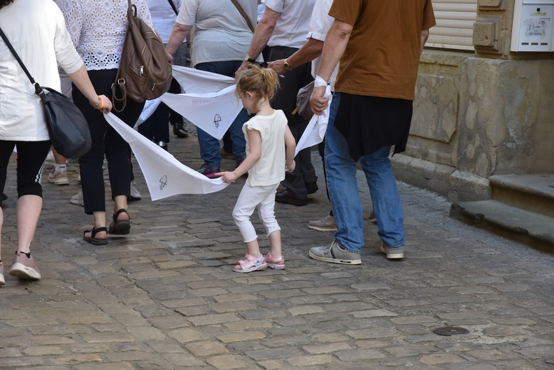 20260526_Sprangpressessioun_Echternach_DSC_1355.jpeg