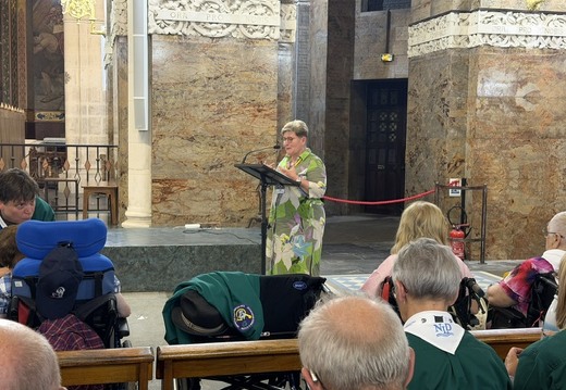 20260722 LourdesCelebrationPenitencielle RKleer image14