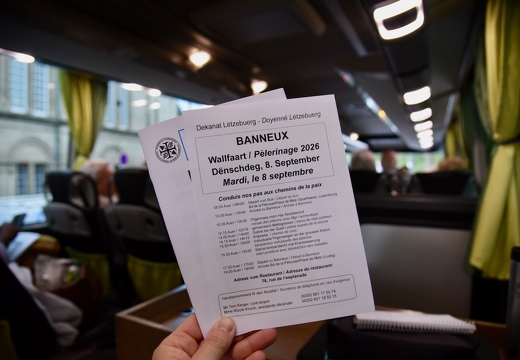 8 septembre 2026, pèlerinage diocésain à Banneux (BE)